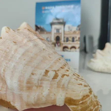 Manantiales Seaviews *