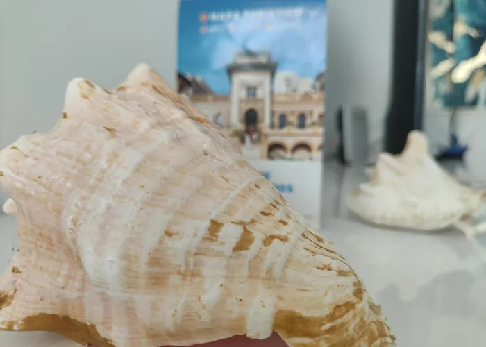 Manantiales Seaviews *